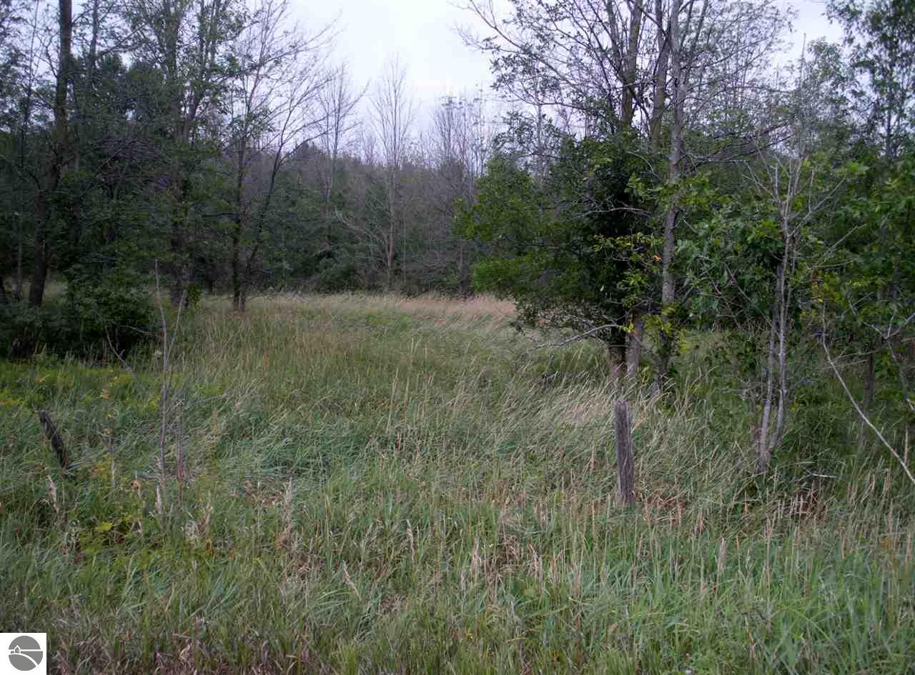 970 E Coleman Rd, Clare, MI 48617 photo 3