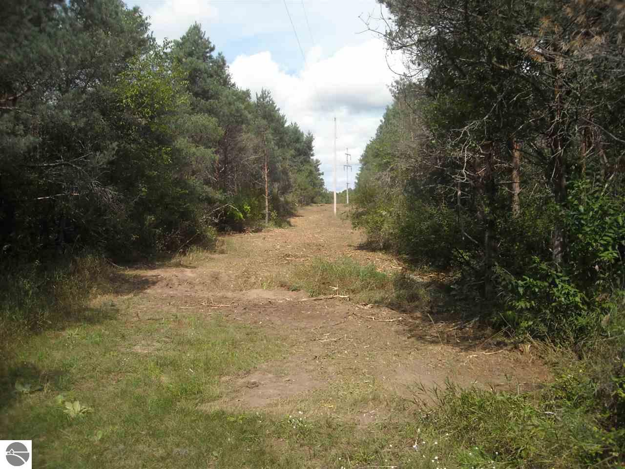 19282 Read Rd, Copemish, MI 49625 photo 17