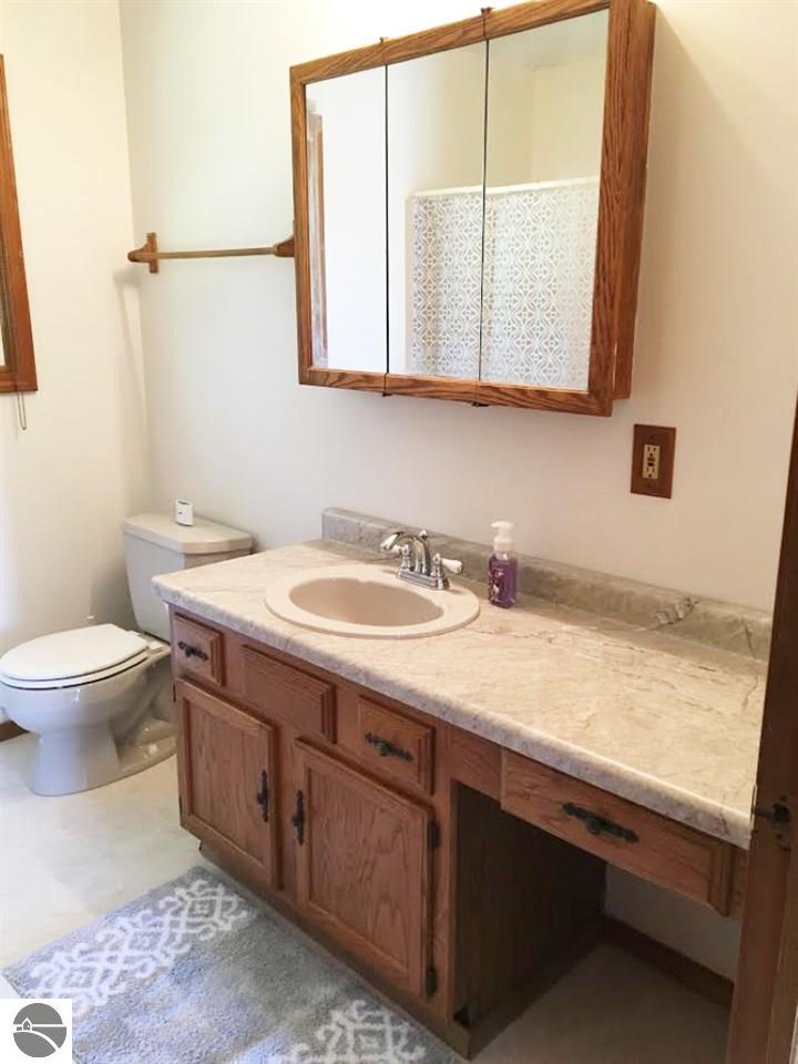 495 W Fleck Rd, Edmore, MI 48829 photo 8