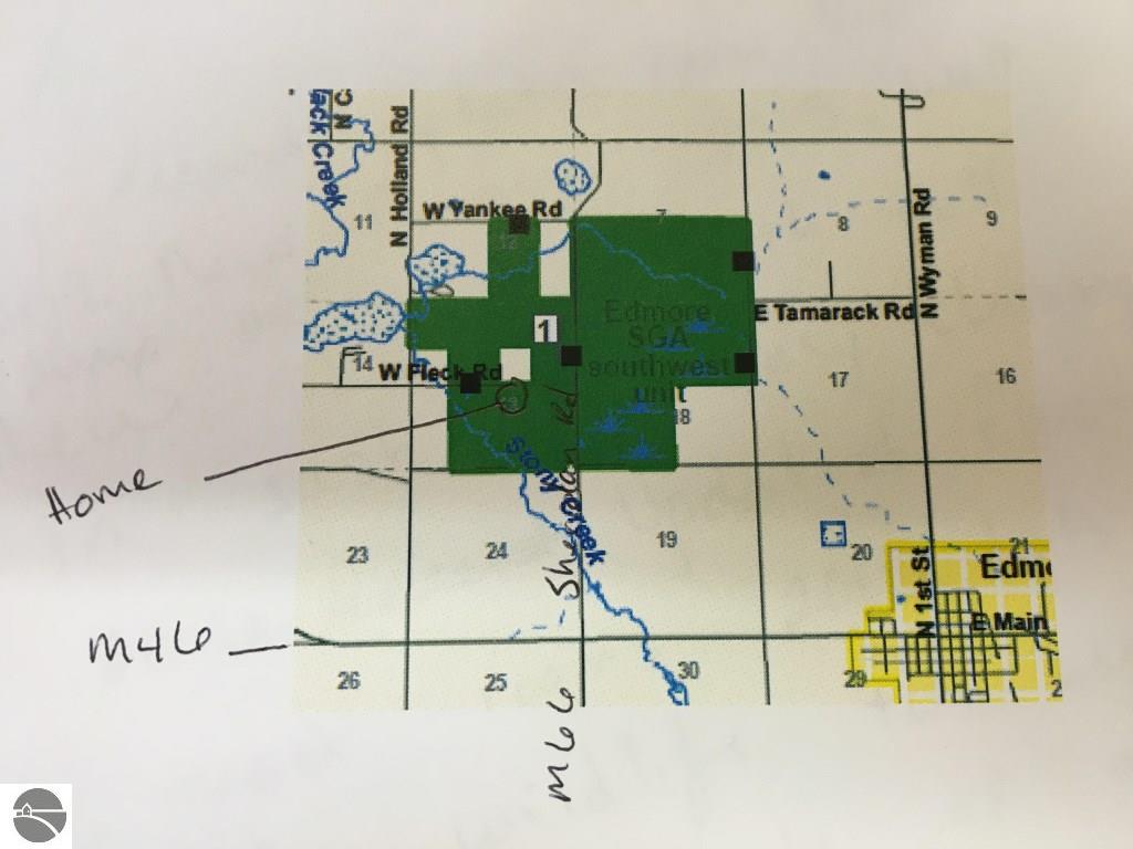 495 W Fleck Rd, Edmore, MI 48829 photo 30