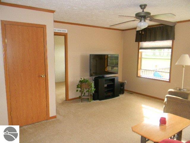 535 W Maple, Mcbain, MI 49657 photo 6