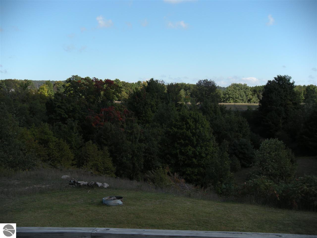 3565 S Bay Bluff Dr, Cedar, MI 49621 photo 15