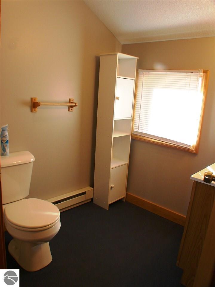 613 N Pine River St, Ithaca, MI 48847 photo 61