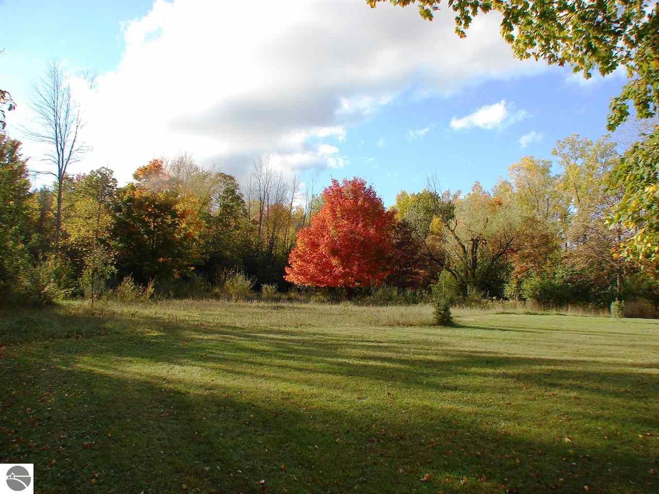 613 N Pine River St, Ithaca, MI 48847 photo 11