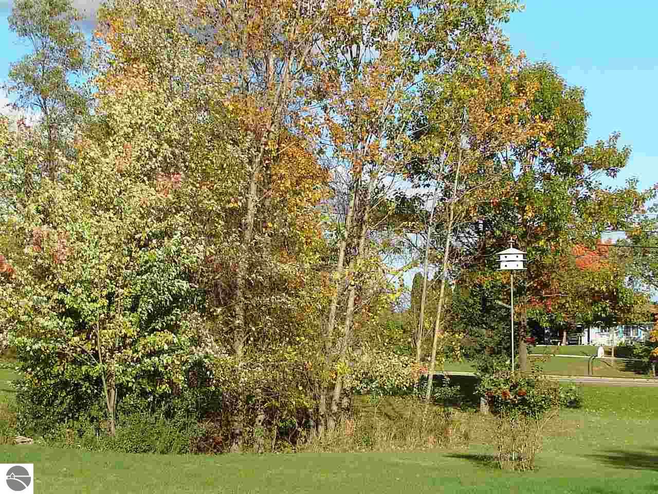613 N Pine River St, Ithaca, MI 48847 photo 7