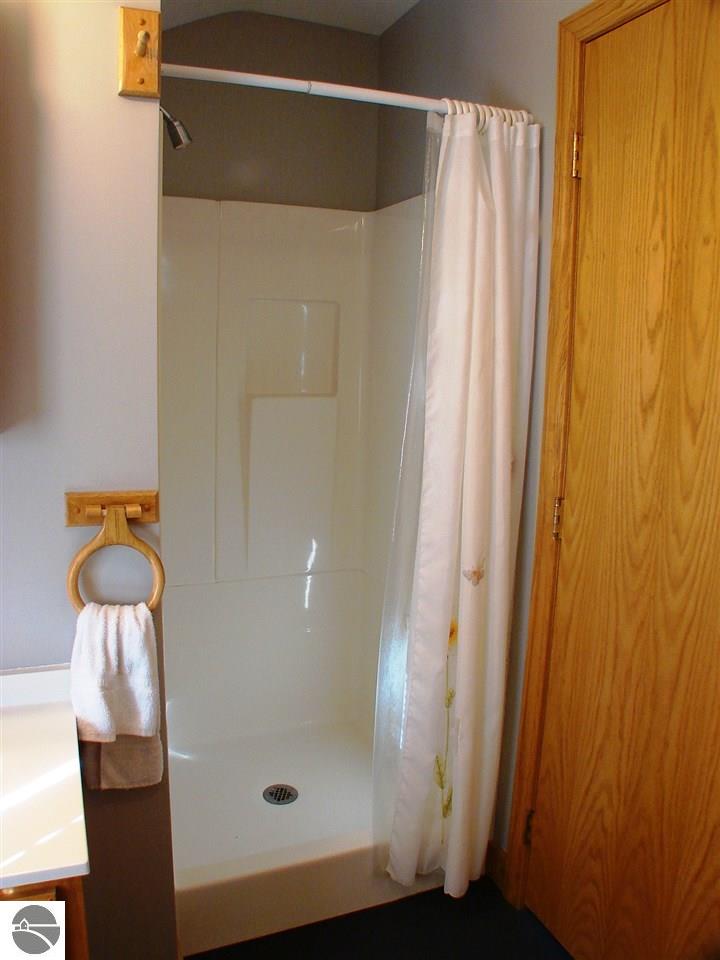 613 N Pine River St, Ithaca, MI 48847 photo 62