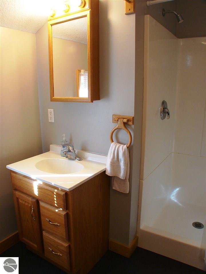 613 N Pine River St, Ithaca, MI 48847 photo 63