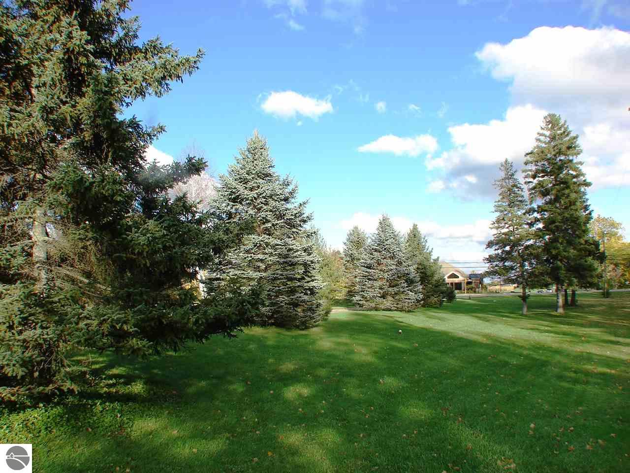 613 N Pine River St, Ithaca, MI 48847 photo 18