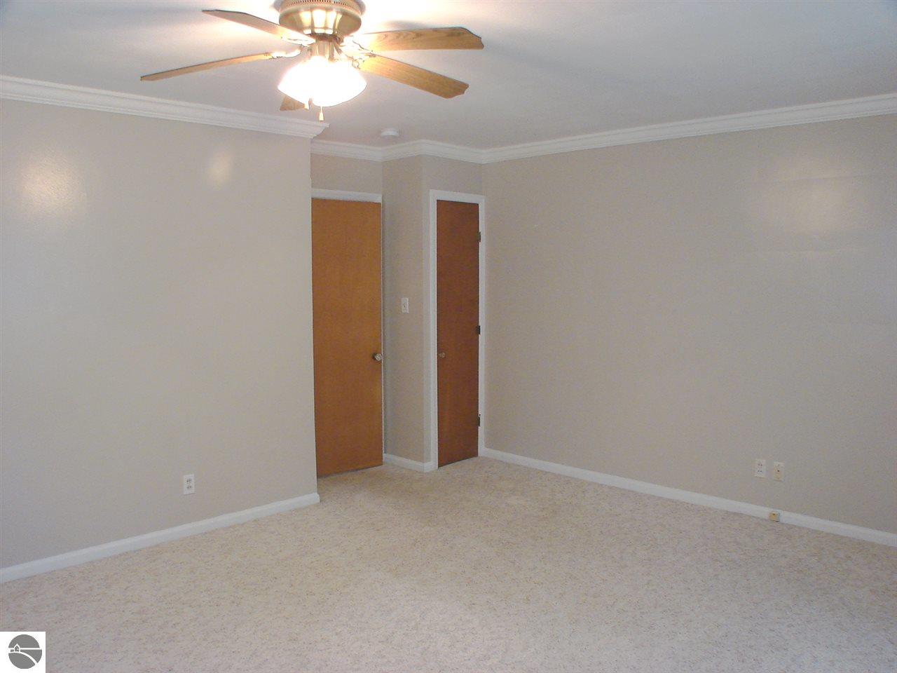 613 N Pine River St, Ithaca, MI 48847 photo 45