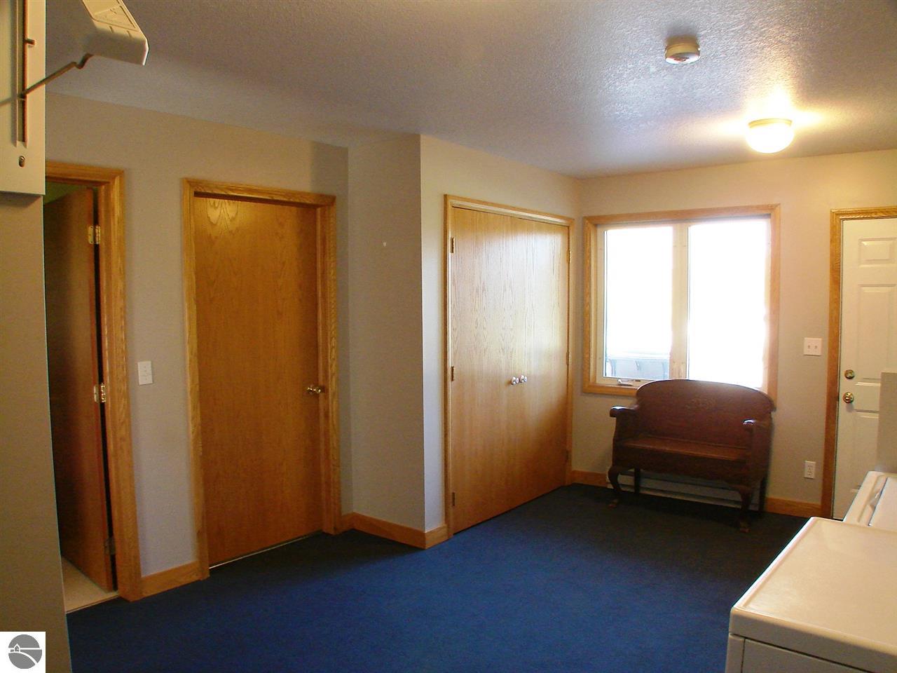 613 N Pine River St, Ithaca, MI 48847 photo 59