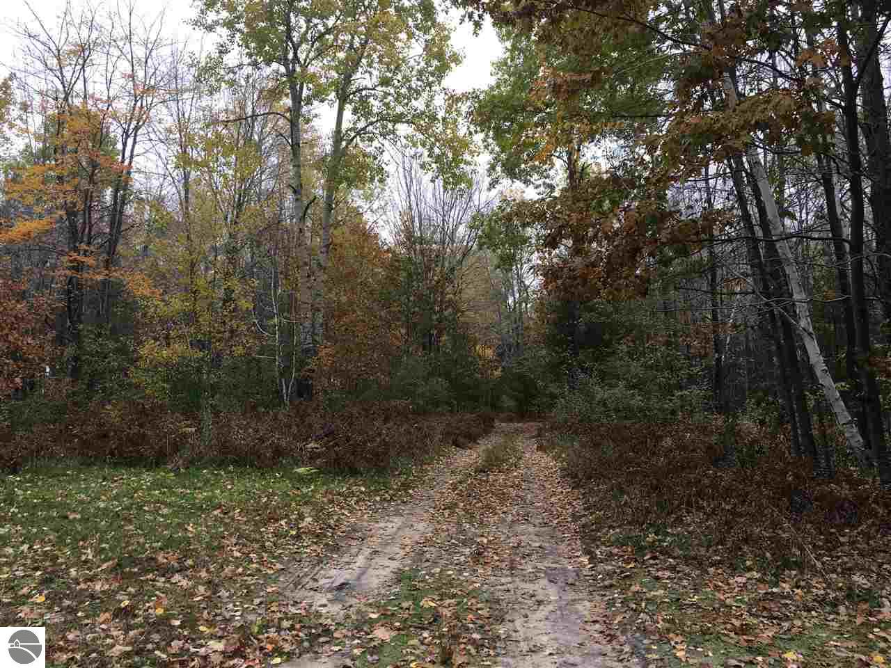 226 N Hale Rd, Twining, MI 48766 photo 17