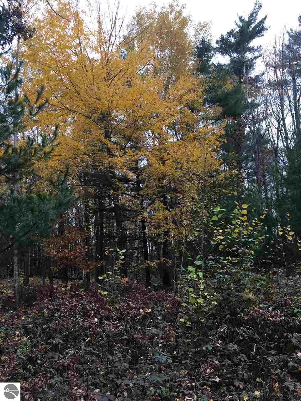 226 N Hale Rd, Twining, MI 48766 photo 20