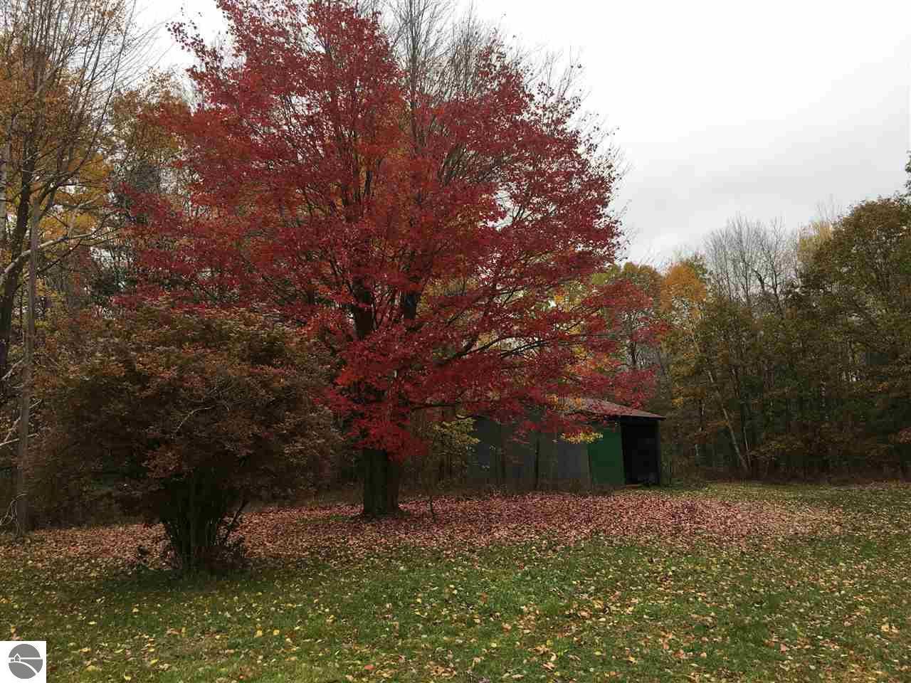 226 N Hale Rd, Twining, MI 48766 photo 9