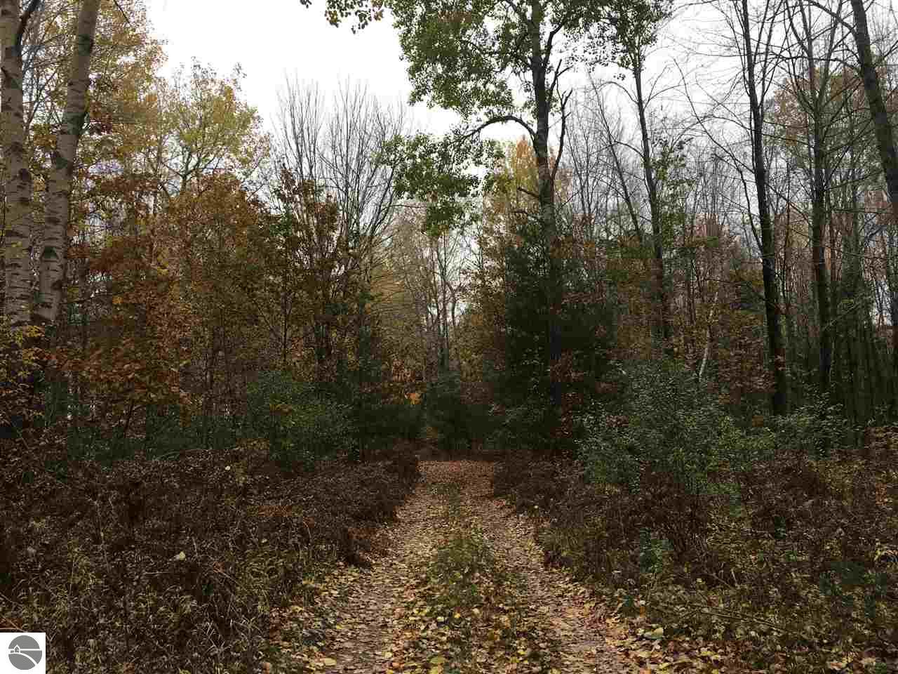 226 N Hale Rd, Twining, MI 48766 photo 18