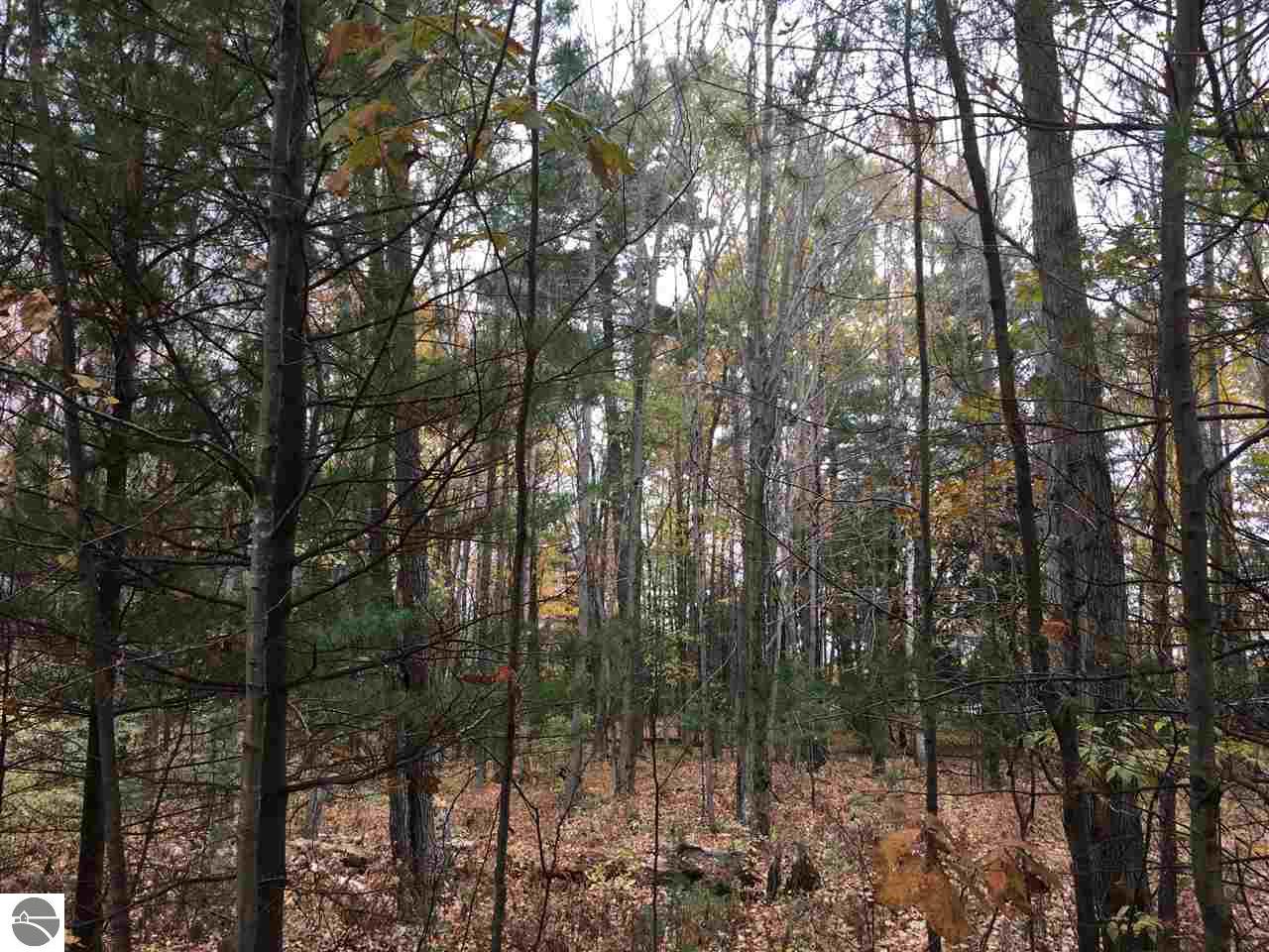 226 N Hale Rd, Twining, MI 48766 photo 19