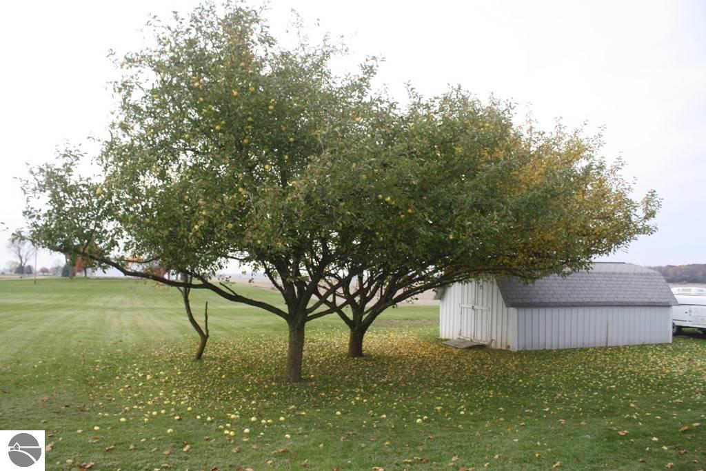 7677 S Leaton Rd, Shepherd, MI 48883 photo 6