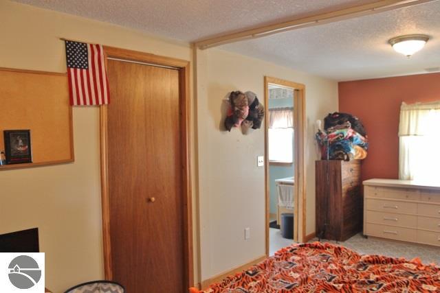 10675 W Washington Rd, Sumner, MI 48889 photo 24