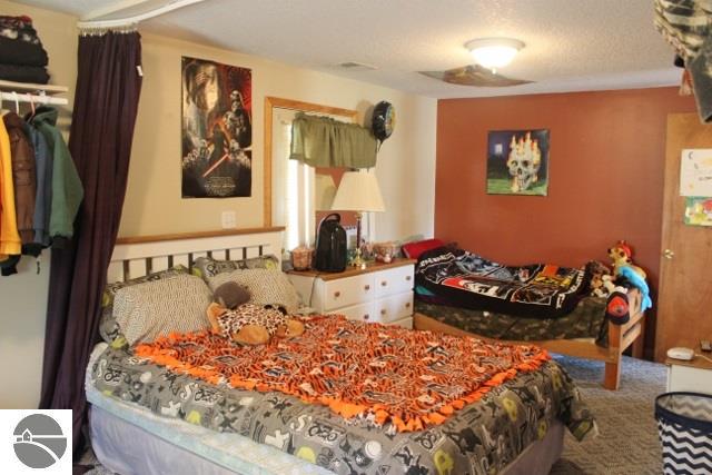 10675 W Washington Rd, Sumner, MI 48889 photo 21