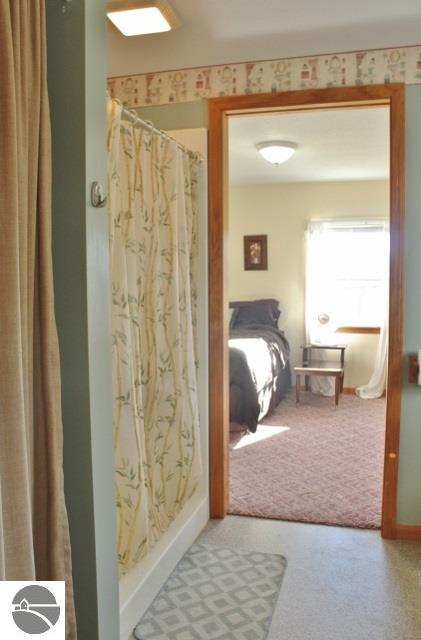 10675 W Washington Rd, Sumner, MI 48889 photo 19