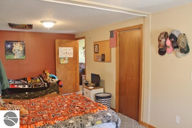 10675 W Washington Rd, Sumner, MI 48889 photo 23