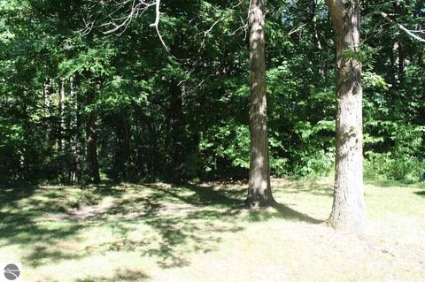 5250 Logging Trl, Sears, MI 49679 photo 62