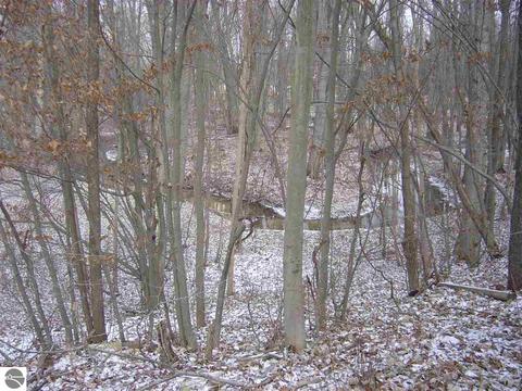5250 Logging Trl, Sears, MI 49679 photo 57