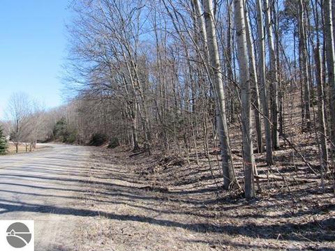 9450 E Hoxie Rd, Cedar, MI 49621 photo 5