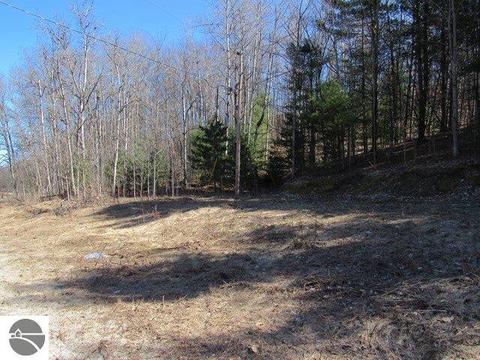 9450 E Hoxie Rd, Cedar, MI 49621 photo 3