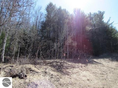 9450 E Hoxie Rd, Cedar, MI 49621 photo 4