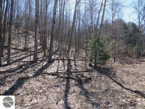 9450 E Hoxie Rd, Cedar, MI 49621 photo 1