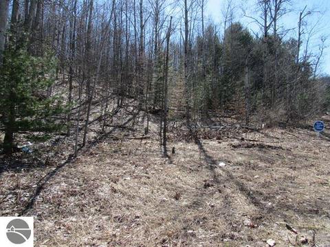 9450 E Hoxie Rd, Cedar, MI 49621 photo 6