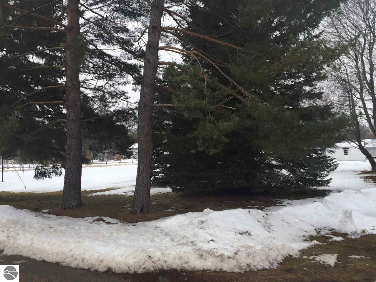 205 N Maple, Manton, MI 49663 photo 8