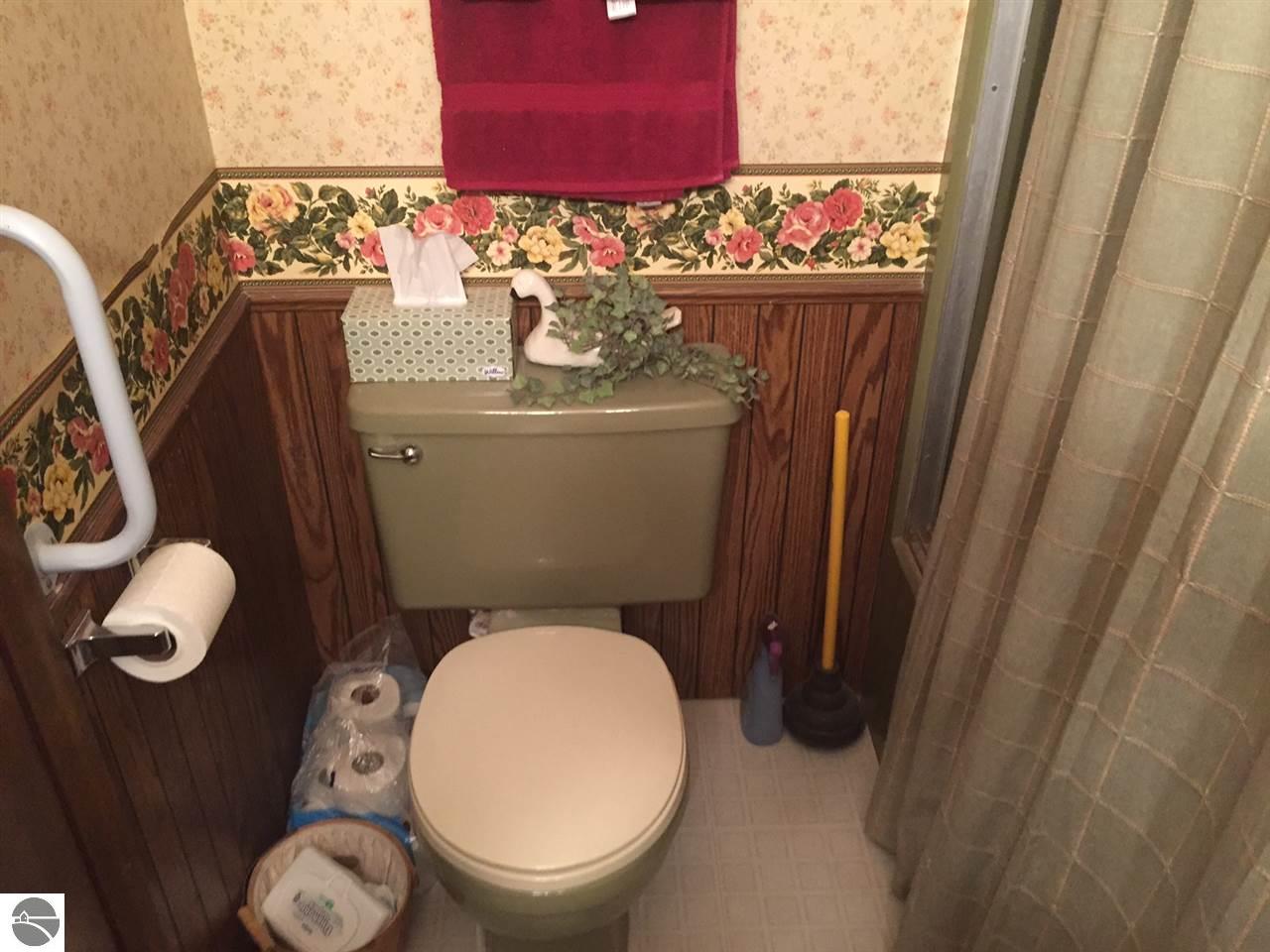 205 N Maple, Manton, MI 49663 photo 55
