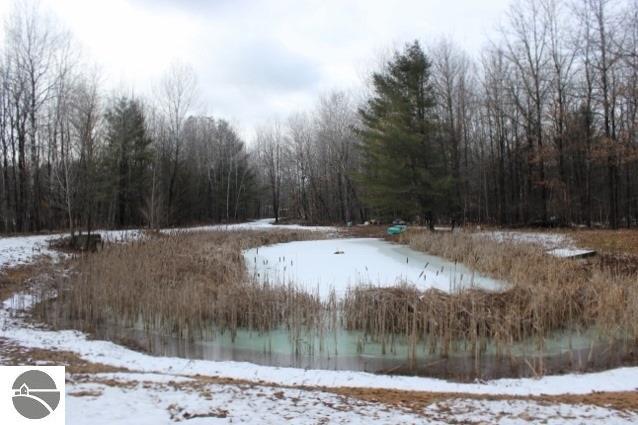 1145 S Alamando Rd, Shepherd, MI 48883 photo 59