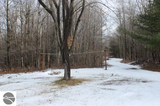1145 S Alamando Rd, Shepherd, MI 48883 photo 57