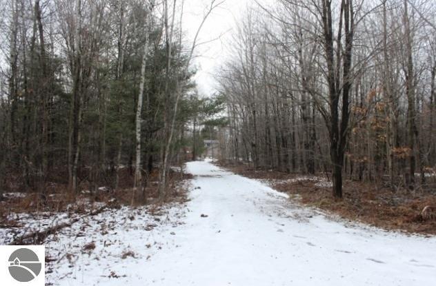 1145 S Alamando Rd, Shepherd, MI 48883 photo 60