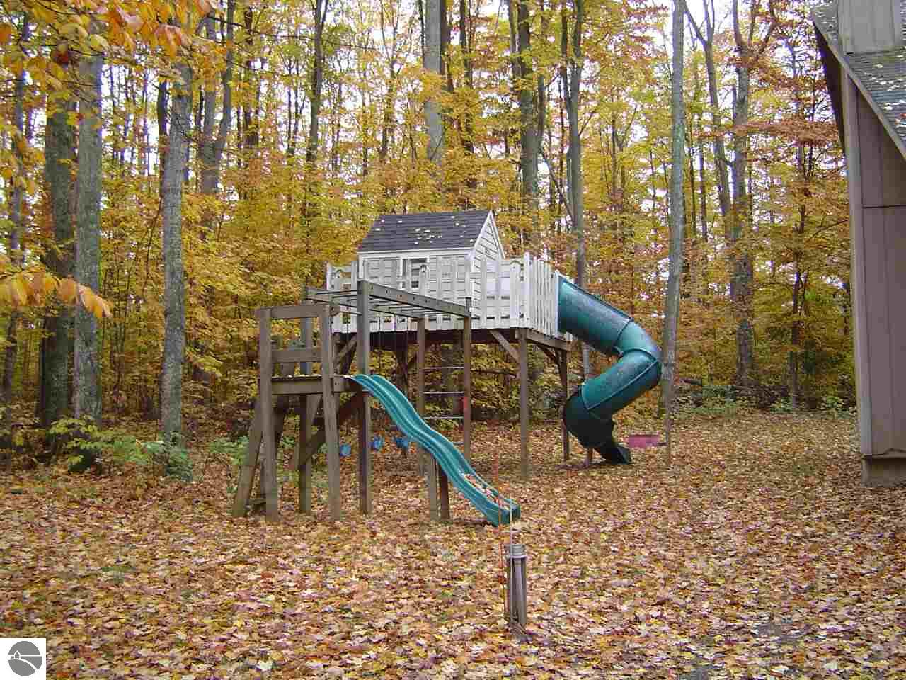 2724 E Horn Beam Ct, Cedar, MI 49621 photo 3