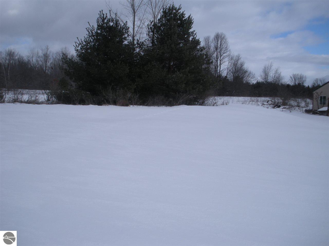 10480 Second St, Farwell, MI 48622 photo 6