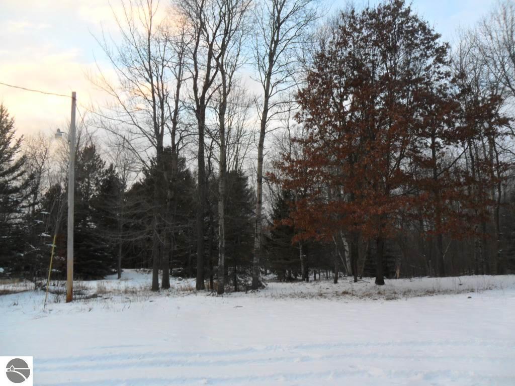 1360 Bear Ave, Harrison, MI 48625 photo 13
