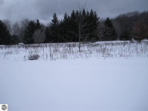 10490 Second St, Farwell, MI 48622 photo 8