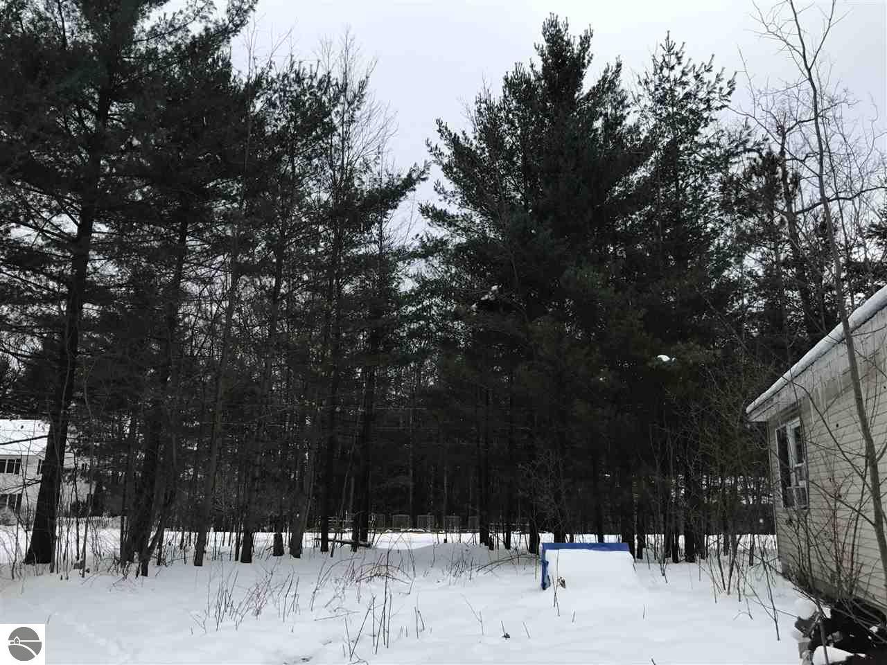 840 S Cedar Trl, Interlochen, MI 49643 photo 3