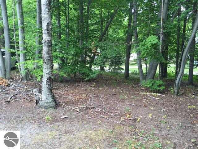 3222 Appletree Ln, Farwell, MI 48622 photo 26