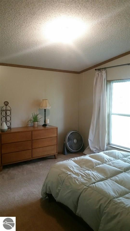 310 E Pine St, Mesick, MI 49668 photo 13