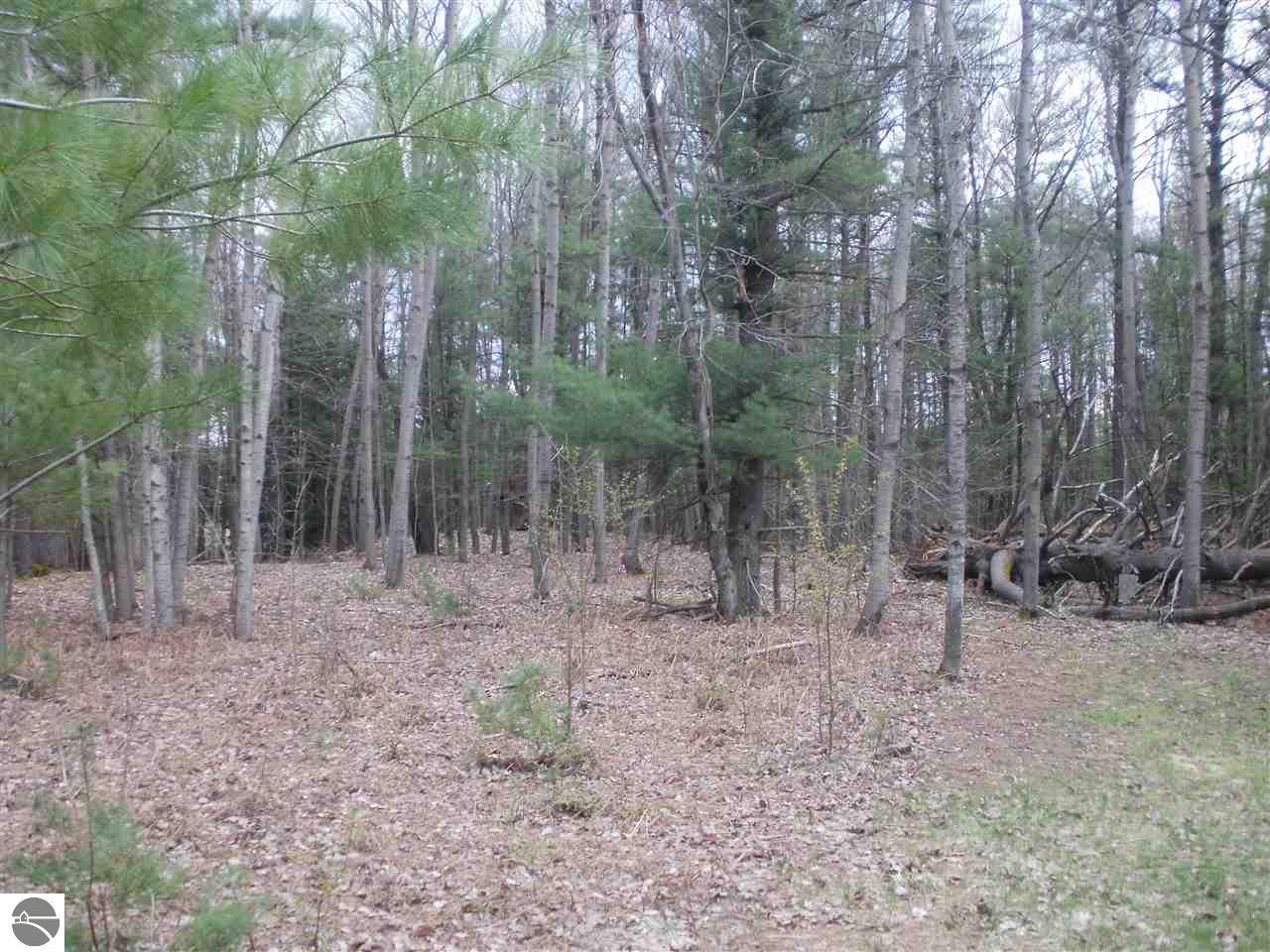 859 E 16 Rd, Mesick, MI 49668 photo 24
