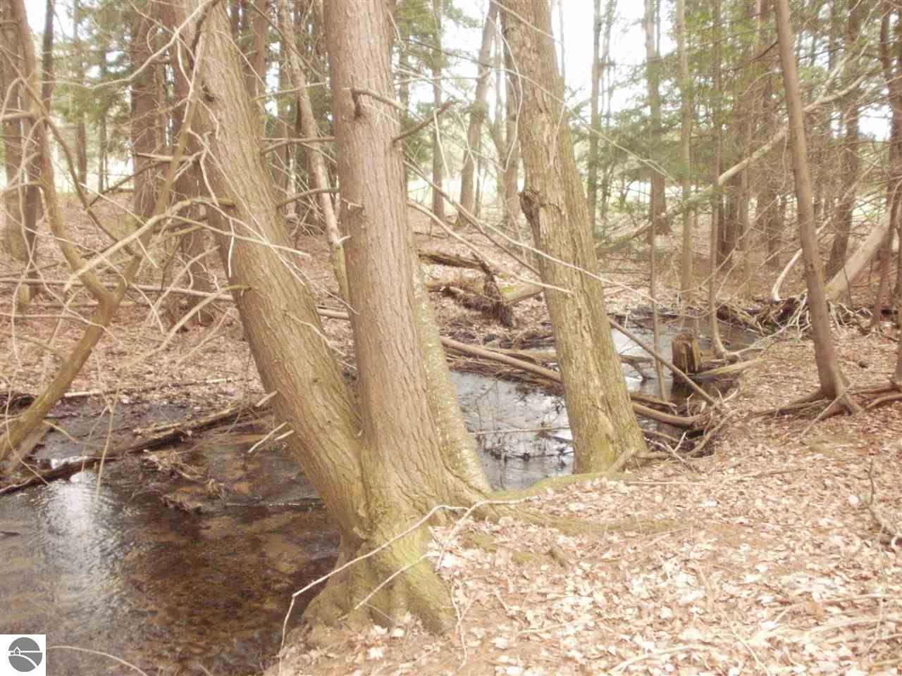 859 E 16 Rd, Mesick, MI 49668 photo 21