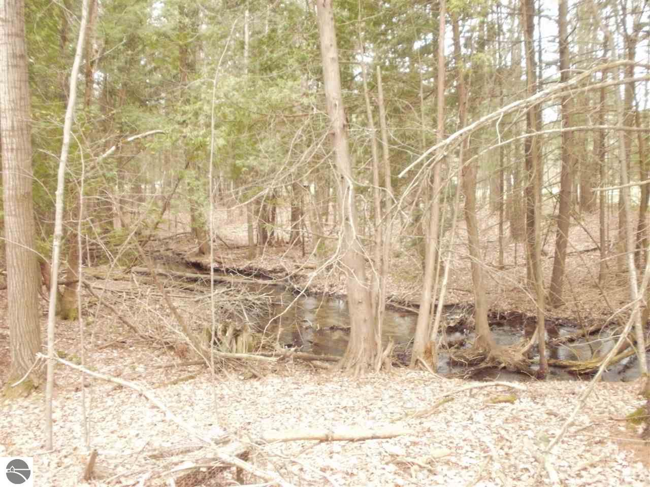 859 E 16 Rd, Mesick, MI 49668 photo 22