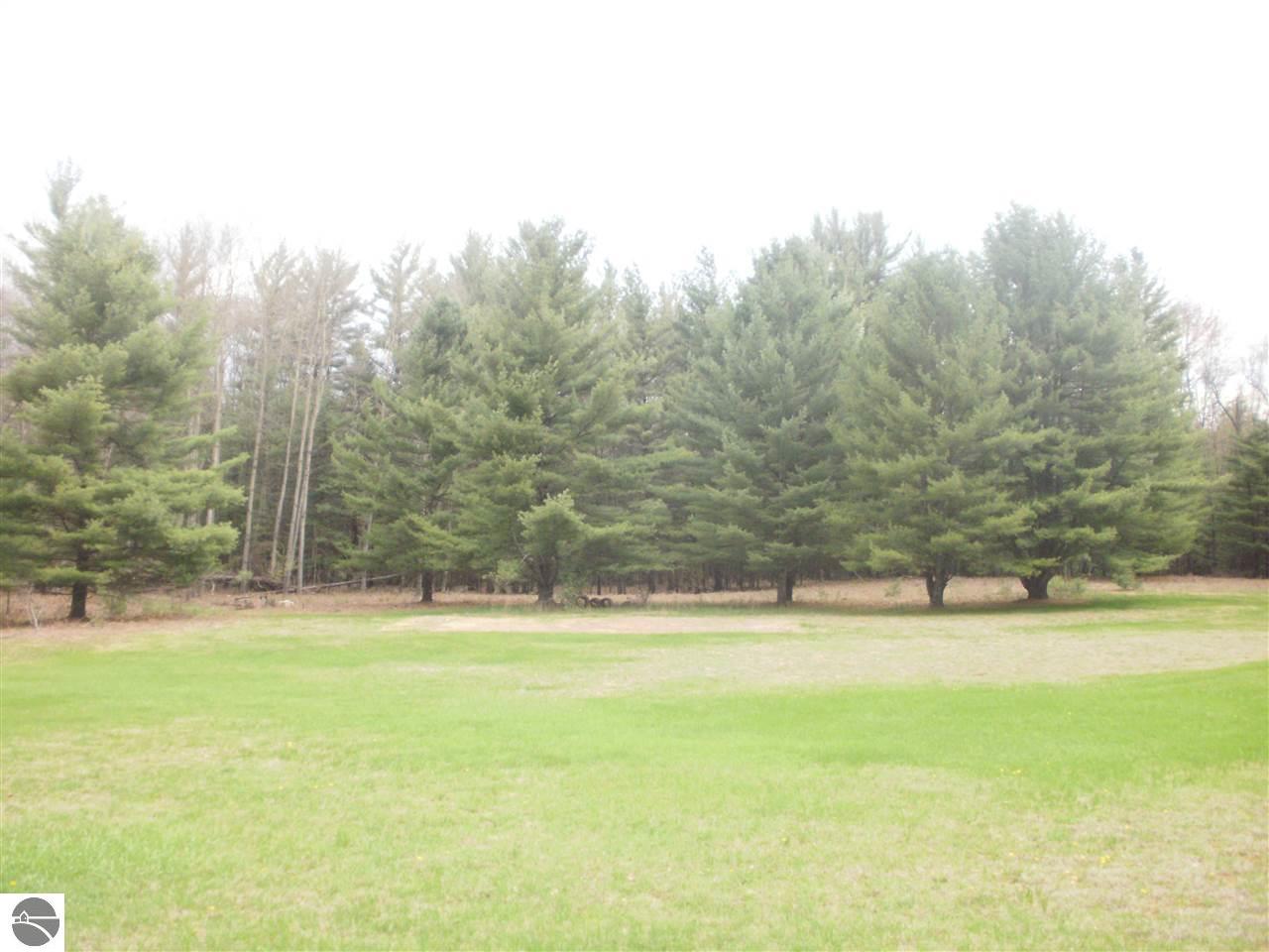 859 E 16 Rd, Mesick, MI 49668 photo 26