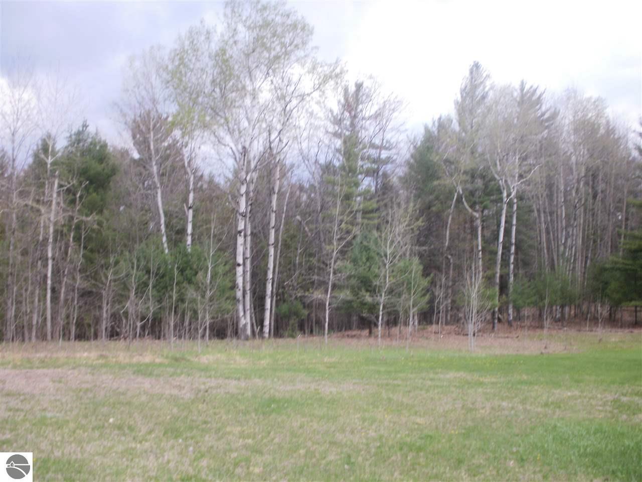 859 E 16 Rd, Mesick, MI 49668 photo 27