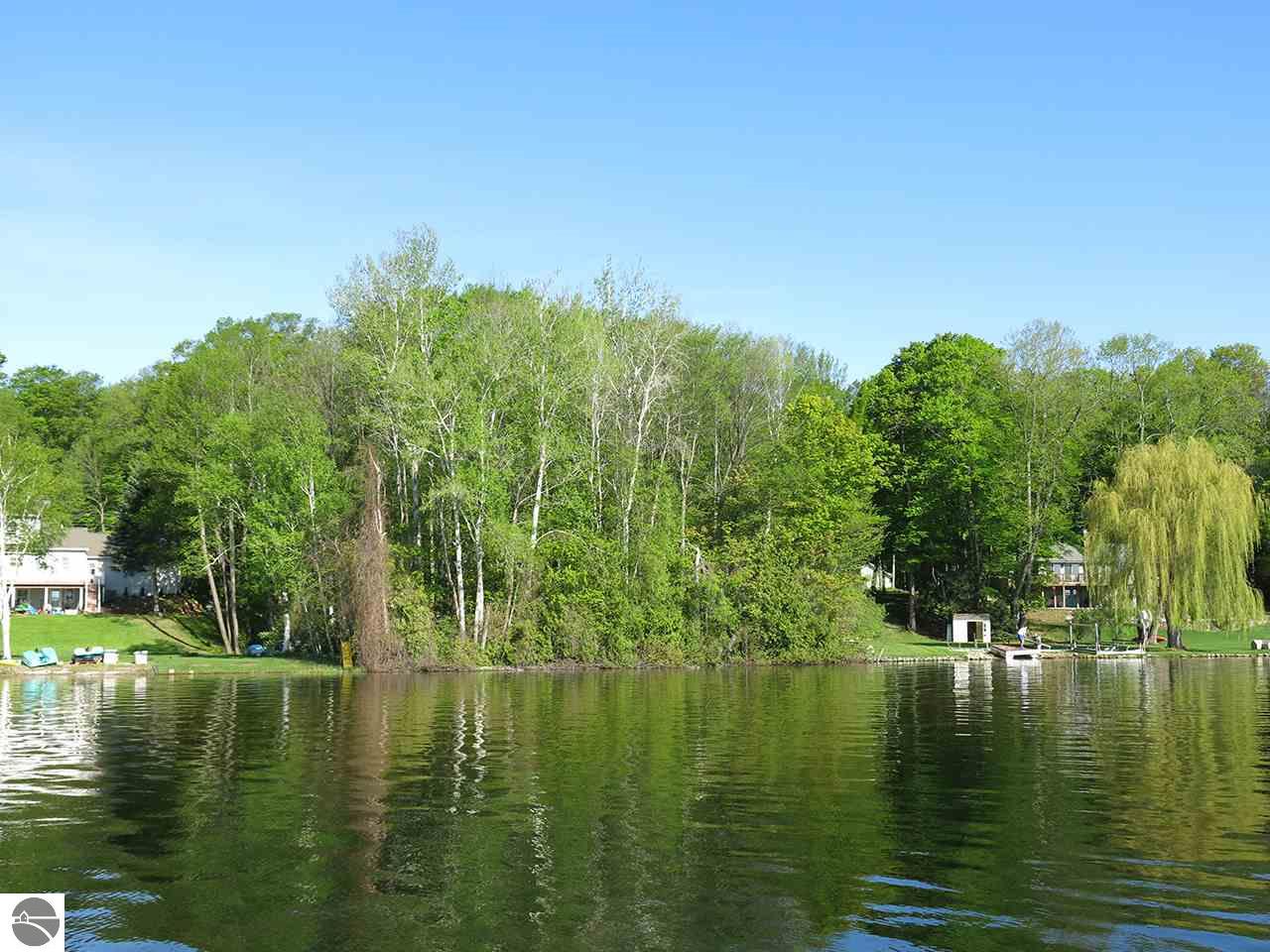 3921 E Shore Dr, Grawn, MI 49637 photo 1
