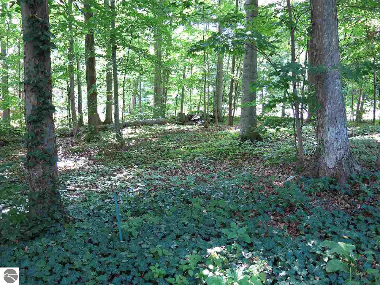 3921 E Shore Dr, Grawn, MI 49637 photo 8